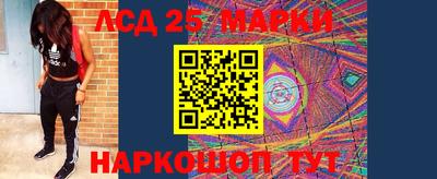 прущие грибы Долгопрудный