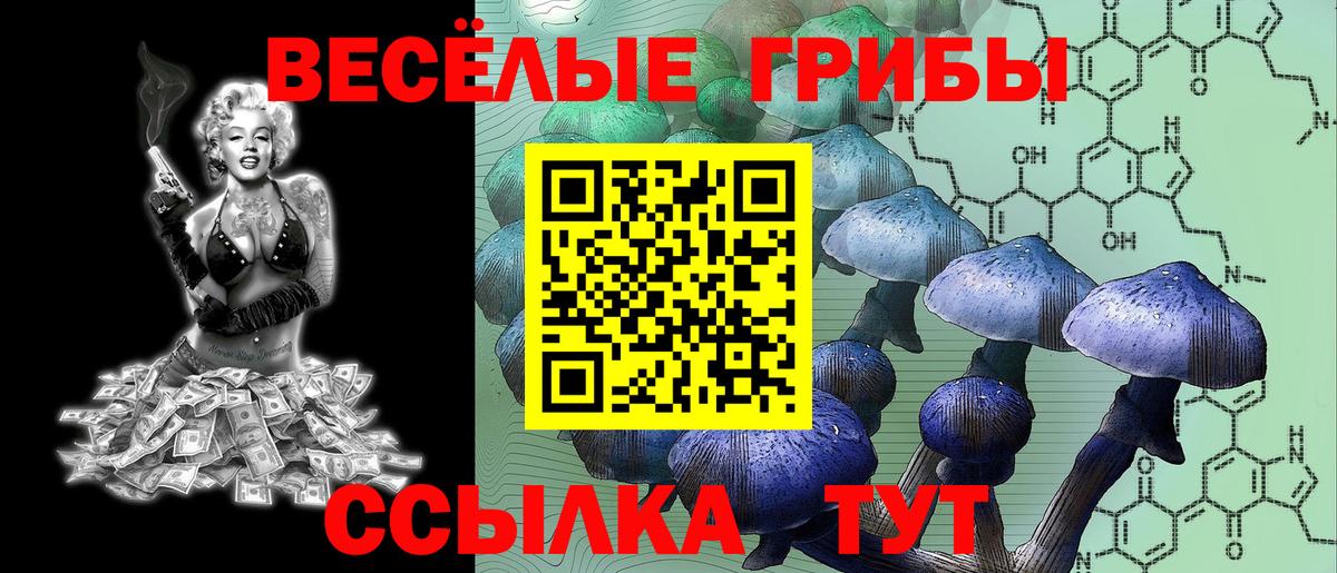 Псилоцибиновые грибы MAGIC MUSHROOMS Вятские Поляны
