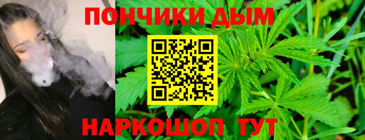 Бошки Шишки семена  Вход с VPN  Вятские Поляны  Шишки марихуана сатива  Марихуана сатива 
